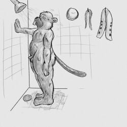 1boy 3_toes alternate_version_available anthro anthro_male anthro_only beaver beaver_tail broadside_beach buckteeth bucky_beaver closed_eyes closed_eyes clothes_aside clothing_removed cock dick digital_drawing_(artwork) digital_media_(artwork) drain flaccid flaccid_penis fur furry furry_male furry_only genitalia genitals grayscale greyscale hand_on_wall hi_res hook lendri_mujina male male_only monochrome no-human no_human no_humans non_sexual only_furry only_male penis png rodent sfw_version_available shipwrecked_64 shower showering sketch sketchy slightly_chubby slightly_chubby_anthro slightly_chubby_male small_penis solo solo_anthro solo_furry solo_male standing standing_up tail tile_floor tile_wall tiles water wet wet_body wet_fur white_background