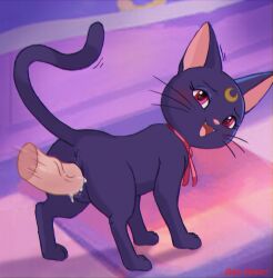 all_fours anus ass bishoujo_senshi_sailor_moon bodily_fluids cum cum_from_vagina cum_in_vagina cum_inside cute_fangs disembodied_penis domestic_cat duo erection fangs felid feline felis female female_feral feral feral_focus feral_frenzy genital_fluids genitals hi_res human humanoid_genitalia humanoid_genitalia_on_feral humanoid_vulva humanoid_vulva_on_feral interspecies looking_at_viewer luna_(sailor_moon) magenta_eyes male male/female mammal penis raised_tail red_ribbon sex solo_focus standing standing_sex tail teeth vulva whiskers zoophilia