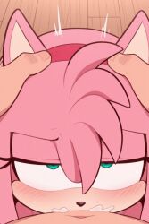 amy rose from sega