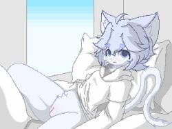 adolescent animated anthro bed blinking blush bodily_fluids bottomless bottomless_female cassis clothed clothing digital_media_(artwork) embarrassed felid feline felis female flat_chested furniture furry genitals head_on_pillow hi_res lying mammal on_back on_bed pillow pixel_(artwork) pixel_animation pussy short_playtime solo spread_legs spreading tears topwear topwear_only vulva young young_anthro young_female