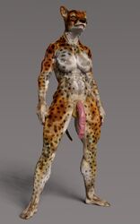 10:16 3d animal_genitalia anthro cheetah digital_media_(artwork) earthclan3d felid feline genitals gynomorph hi_res intersex mammal penis