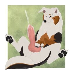 animal_genitalia animal_penis balls bernese_mountain_dog big_balls big_penis bodily_fluids canid canine canine_genitalia canine_penis canis cum domestic_dog ear_piercing ejaculation feral genital_fluids genitals hedonophobia_h hi_res huge_balls huge_cock hyper hyper_balls hyper_genitalia hyper_penis knot male mammal molosser mountain_dog penis piercing solo swiss_mountain_dog yasuno