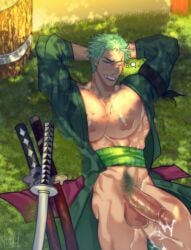 roronoa zoro from one piece
