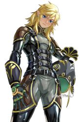link from tears of the kingdom by otari7902