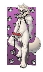 absurd_res animal_genitalia animal_penis anthro athletic balls big_balls big_penis black_nipples bodily_fluids canid canine canine_genitalia canine_penis canis chair chest_harness chest_tuft claws cum cum_string emoji fluffy fluffy_tail fur furniture genital_fluids genitals hair harness hi_res leash leather leather_harness looking_at_viewer male mammal mane moobs multicolored_body muscular muzzle_(object) nipples on_chair paws penis purple_eyes simple_background sitting sitting_on_chair solo tail tan_body tan_fur three-quarter_view tuft two_tone_body white_body white_fur wolf ydrials ydrials_(ydrials)