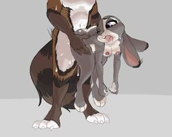 2020 ambiguous_penetration anthro anthro_on_anthro bodily_fluids brown_body brown_fur carrying colored cum cum_on_face dipstick_ears disney duo faceless_male female fur genital_fluids grey_background grey_body grey_fur hi_res judy_hopps lagomorph leporid male mammal medium_breasts multicolored_ears nipples nude one_eye_closed open_mouth penetration purple_eyes rabbit sex simple_background standing standing_sex straight trashtikko white_body white_fur zootopia