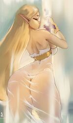 princess zelda from breath of the wild by ftu (artist)