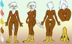 2019 abigale_valgaln accipitrid accipitriform anthro antoniokontos anus ass avian bird blue_eyes breasts chest_tuft claws eagle feet female front_view genitals gradient_background model_sheet non-mammal_breasts nude pussy rear_view simple_background smile solo toe_claws tuft