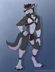 2019 4_toes 5_fingers abs ankle_cuffs anthro arm_markings artist_name biceps biped black_claws black_hair black_nose black_pawpads bondage_gear bulge canid canine canis cheek_tuft chest_harness chin_tuft claws clothing collar cuff_(restraint) cuffs_(clothing) detailed_bulge digitigrade dipstick_ears ear_markings facial_hair facial_tuft feet finger_claws fingers fluffy fluffy_tail fur fur_hair gloves_(marking) goatee gradient_background green_eyes grey_background grey_body grey_fur hair hand_on_hip hand_on_leg hand_on_own_leg hand_on_own_thigh hand_on_thigh harness hi_res highlights_(coloring) inner_ear_fluff leg_markings looking_at_viewer male mammal markings mcnubbies multicolored_body multicolored_ears multicolored_fur muscular muscular_anthro muscular_male narrowed_eyes navel pawpads paws pecs pivoted_ears pose red_highlights red_markings restraints simple_background smile snout socks_(marking) solo spiked_collar spikes standing studded_ankleband studded_harness studded_wrist_cuffs studs tail tarik teeth text thigh_markings tight_underwear toe_claws toes toothy_smile tuft two_tone_body two_tone_fur underwear wolf wrist_cuffs