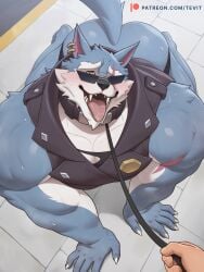 2025 all_fours anthro bara biceps black_clothing black_jacket black_jockstrap black_shirt black_topwear black_underwear blue_body blue_fur bodily_fluids butt canid canine canis claws clothing collar deltoids dislyte eye_scar eyewear facial_scar finger_claws first_person_view freddy_(dislyte) fur gold_ear_ring hi_res high-angle_view human jacket jockstrap leash leashed_collar lilith_games male mammal multicolored_body multicolored_fur muscular muscular_anthro muscular_male open_mouth patreon patreon_logo pecs scar shirt shoulder_scar sidewalk sleeveless_jacket solo sunglasses sweat tail tevit15 text tongue tongue_out topwear torn_clothing torn_shirt torn_topwear two_tone_body two_tone_fur underwear url white_body white_fur wolf yellow_eyes