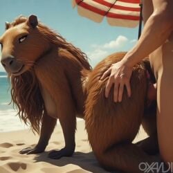 1boy 1girls ai_generated animated anthro anus ass beach big_butt black_hair breasts brown_fur capybara day doggy_style female female_on_human furry hetero human human_on_anthro male male/female male_on_anthro ocean outdoors oxandi penetration penis penis_in_pussy realistic rodent sand sex straight_sex tagme umbrella vaginal video