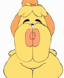 andyxtal animal_crossing animated areola big_breasts blush blush_stickers breasts canid canine canis domestic_dog female front_view genitals happy hi_res huge_breasts isabelle_(animal_crossing) jumping looking_at_viewer loop mammal nintendo nipples nude open_mouth simple_background smile solo spread_legs spreading thick_thighs tongue tongue_out vulva