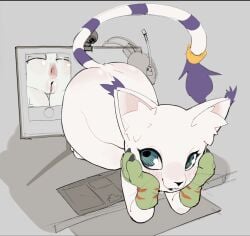 2025 all_fours anal anal_invitation anal_suggest anthro anus ass ass_up bandai_namco blue_eyes blush blush_lines bodily_fluids body_blush camera computer_monitor digimon digimon_(species) digital_media_(artwork) eyelashes fangs female fur gatomon genitals glistening glistening_butt grey_background hand_on_face hi_res nude open_mouth open_smile presenting presenting_hindquarters presenting_vulva purple_body purple_fur raised_tail simple_background skeleton265 smile solo sweat sweatdrop tail teeth vulva webcam white_body white_fur