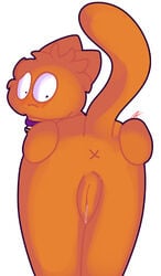 furry orange_fur orange_juice pussy thatonenormalkitty