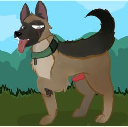 animal_ears animal_genitalia animal_penis brutus_(pixie_and_brutus) canine cock dog_collar dog_ears dog_tail german_shepherd littlelilith male male_only penis pixie_and_brutus solo tagme