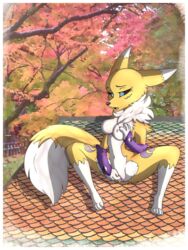 3:4 big_tail border breasts canid canine colrblnd digimon digimon_(species) female fox fur genitals hi_res mammal masturbation pussy renamon small_paws solo sourtassietiger_(artist) spread_legs spreading white_border yellow_body yellow_fur