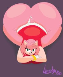 amy rose from sonic (series) by lewdape