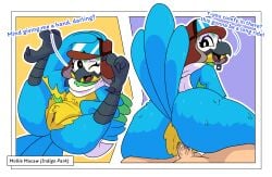 mollie macaw from indigo park by impstripe