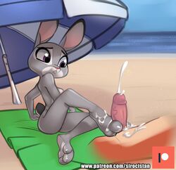 judy hopps from disney by siroc