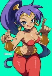 shantae (character) from shantae by komatsuki n