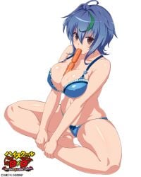 xenovia quarta from high school dxd