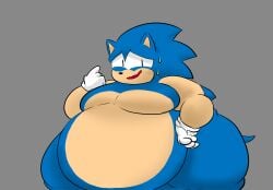 Sonic The Hedgehog (Series) Rule 34 Image