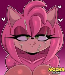 amy rose from sega by cross samax