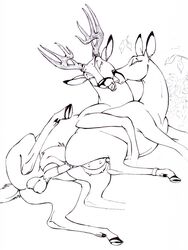 bambi_(character) bambi_(film) disney faline klaus_doberman monochrome penis pussy tagme testicles