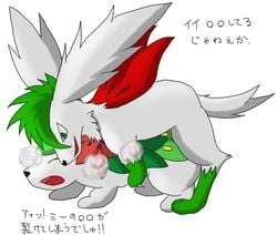 doggy_style feral feral_on_feral male/ambiguous open_mouth pokémon_(species) pokemon pokemon_(species) pokemon_dppt shaymin shaymin_(land_form) shaymin_(sky_form) tagme