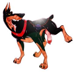 1boy canine canine_genitalia canine_penis collar disney doberman dog domestic_dog feral furry klaus_doberman leg_lift leg_up male male_only mammal oliver_and_company penis roscoe_(disney) solo solo_male tagme