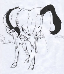 1boy anus autofellatio balls dreamworks equine fellatio fellatio_from_feral feral horse implied_oral klaus_doberman male_only outdoors outside self_sucking solo solo_male spirit:_stallion_of_the_cimarron spirit_(character) tail traditional_media_(artwork) unfinished zoophilia