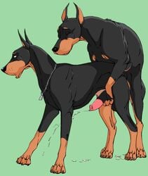 2boys anal anal_penetration anal_sex canine canine_genitalia canine_penis cum desoto_(disney) disney doberman dog doggy_style doggy_style_position doggystyle domestic_dog feral feral_on_feral feral_penetrated feral_penetrating feral_penetrating_feral gay klaus_doberman male male/male male_only mammal oliver_and_company penis roscoe_(disney) yaoi