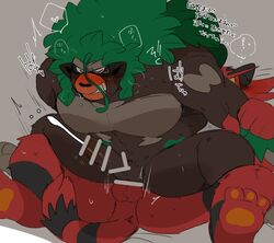 incineroar from nintendo by hyaku (artist)
