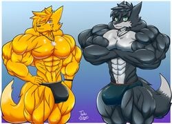 anthro big_muscles black_body black_fur brother brothers bulge canid canine clothing duo fennec fox fur huge_muscles jewelry male male_only mammal muscular muscular_male necklace sibling speedo swimwear taiko-sihori yellow_body yellow_fur