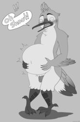 absurd_res anthro avian belly bird blush colorcoroded embarrassed genitals hi_res humanoid_genitalia humanoid_penis hummingbird male male_only monochrome penis