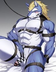 aaassstaro abs blonde_hair blue_body blue_fur blush bondage canid canine canis censored fenrir_(tokyo_afterschool_summoners) flaccid fur genitals hair harness leash male male_only mammal muscular muscular_male nipples pecs penis solo tattoo tokyo_afterschool_summoners video_games wolf