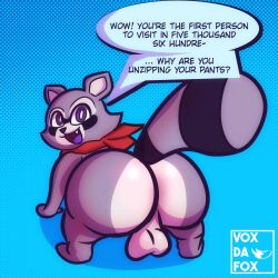 1:1 absurd_res anthro ass ass_focus backsack balls blue_background fur gay genitals grey_body grey_fur hi_res indigo_park male mammal neckscarf open_mouth presenting presenting_hindquarters procyonid purple_eyes raccoon rambley_(indigo_park) simple_background smile solo speech_bubble tail voxdafox