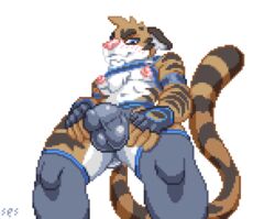 alpha_channel blush bulge clothing felid fingerless_gloves gloves handwear harness looking_at_viewer male male_only mammal pantherine sebastian_aji ses_vanbrubles tiger