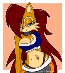 belly_button breasts crop_top female furry hedgie_matsu long_hair mole pants sally_acorn sonic_(series) sonic_the_hedgehog_(comics) thong