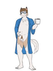 3:4 anthro belly beverage circumcised clothing coffee coffee_mug eyewear flaccid fuze generation_7_pokemon genitals glasses hi_res lycanroc male male_only navel nintendo nipples penis pokemon pokemon_(species) pubes robe robe_only smile solo