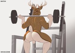 2020 antlers ass back_muscles backsack balls batch_(righthandtoaster) bodily_fluids cervid crouching exercise genitals gym_equipment hair hi_res horn male male_only mammal nude perineum rear_view shiuk solo solo_male sweat text url