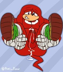 anthro bara creampie cum furry knuckles_(boom) knuckles_the_echidna male_focus male_only no_humans puri_porn purico solo sonic_(series) sonic_boom sonic_the_hedgehog_(series)