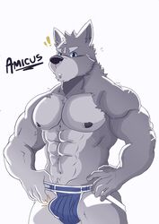 ! 2020 5_fingers abs adastra amicus_(adastra) anthro biceps biped black_nipples blue_eyes bodily_fluids bulge canid canine canis clothed clothing facial_piercing fingers frankescobarx fur grey_body grey_fur hi_res jewelry jockstrap looking_at_viewer male male_only mammal multicolored_body multicolored_fur muscular muscular_male nipples pecs piercing simple_background solo surprise sweat topless two_tone_body two_tone_fur underwear white_background white_body white_fur wolf