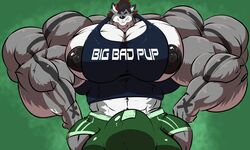 5:3 anthro balls big_balls big_biceps big_bulge big_muscles big_penis bobert bulge canid canine canis clothing genitals grey_fur huge_balls huge_bulge huge_cock huge_muscles hyper hyper_balls hyper_biceps hyper_bulge hyper_genitalia hyper_muscles hyper_penis looking_at_viewer male male_nipples male_only mammal muscular navel nipples pecs penis shirt short_pants smile smirk swaggy tank_top topwear wolf