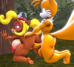 2019 3d activision animated anthro ass balls bandicoot big_butt big_penis black_nose blonde_hair breasts canid canine cheek_tuft closed_eyes clothing coco_bandicoot crash_(series) crossover curled_hair duo erection eyebrows eyelashes eyeshadow facial_tuft female female_penetrated forest fox from_behind_position fur genitals gif gloves grass green_eyes hair hands_on_wall handwear humanoid_genitalia humanoid_penis interspecies kneeling long_hair low_res makeup male male_penetrating male_penetrating_female mammal marsupial miles_tails_prower multi_tail muscular nipples nude open_mouth penetration penis pink_eyeshadow ponytail pussy sex short_playtime side_boob sonic_(series) straight tails tan_body tan_fur thick_thighs tree tuft vaginal_penetration vein veiny_penis video_games white_body white_clothing white_fur white_gloves yellow_body yellow_fur