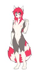 2020 anthro breasts canid canine canis digital_media_(artwork) female female_only fur green_eyes hair hi_res hybrid mammal marblesoda nipples procyonid raccoon red_hair rikki solo wolf