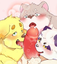 2020 alp_(tokyo_afterschool_summoners) anthro blush bodily_fluids canid canine canis cu_sith_(tokyo_afterschool_summoners) domestic_dog drooling fur gay genitals giant_panda group hi_res jambavan kemono leib_(tokyo_afterschool_summoners) licking male male/male male_only mammal nameko_no_neko penis purple_body purple_fur saliva tokyo_afterschool_summoners tongue tongue_out ursid video_games white_body white_fur yaoi