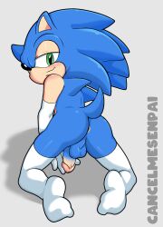 sonic the hedgehog from idw publishing by cancelmesenpai