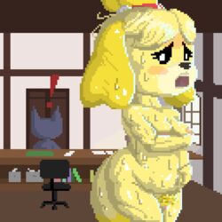 2020 animal animal_crossing anthro awkward breasts canine clitoris dog_tail dyziz feline female hair isabelle_(animal_crossing) naked nintendo nipples panic pixel_art pregnant self_upload surprised sweat tail yellow_fur