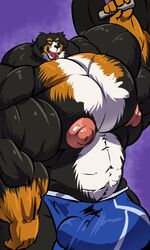 3:5 anthro bernese_mountain_dog big_bulge big_muscles big_penis bobert bodily_fluids bulge canid canine canis clothing domestic_dog drooling dumbbell genitals hi_res huge_bulge huge_cock huge_muscles hyper hyper_bulge hyper_genitalia hyper_muscles hyper_penis jacob_(iron99) lifting looking_at_viewer male male_only mammal molosser mountain_dog muscular nipples open_mouth penis saliva smile swiss_mountain_dog tongue tongue_out underwear weights